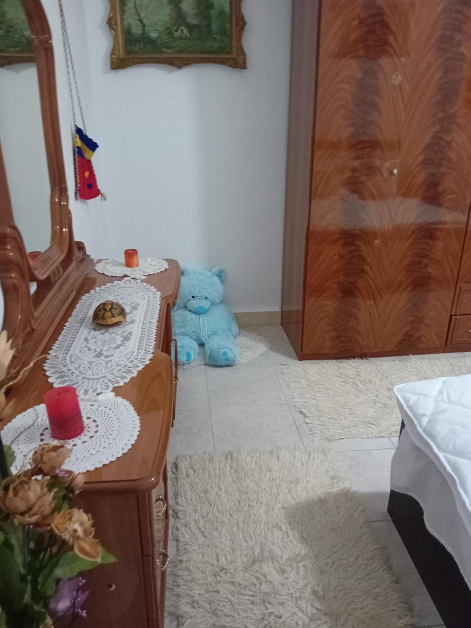 Olivia Guesthouse Αργυρόκαστρο Εξωτερικό φωτογραφία